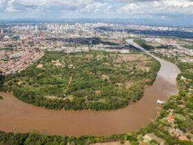 Pantanal: mesmo após chuvas, rios seguem com níveis abaixo da média para o período - Foto: Divulgação