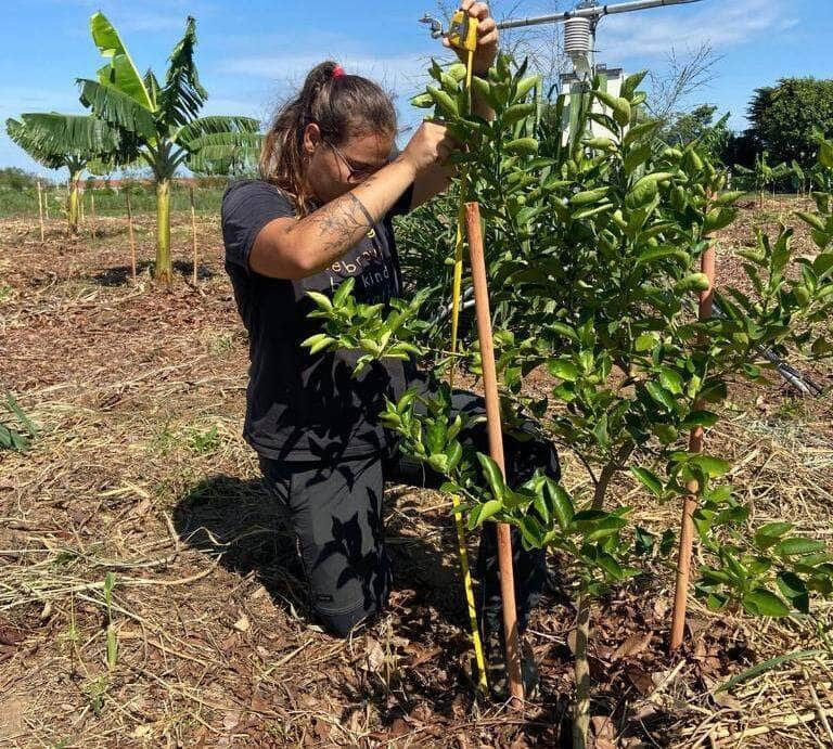 pesquisa auxilia produtores familiares na irrigacao e manejo da agua interna 1 2024 02 05 1340064228