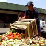 O programa Caminhos da Reportagem, da TV Brasil, aborda o desperdício na cadeia de produção de alimentos Por: TV Brasil/ Divulgação