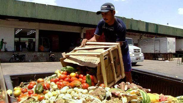 O programa Caminhos da Reportagem, da TV Brasil, aborda o desperdício na cadeia de produção de alimentos Por: TV Brasil/ Divulgação