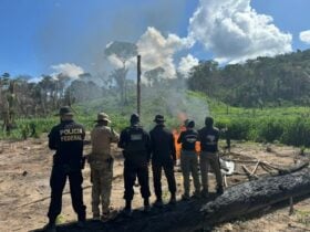 PF deflagra operação contra crimes ambientais em reserva extrativista de Rondônia - Foto: Divulgação