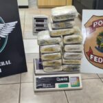 PF realiza prisão por tráfico de drogas no aeroporto de Porto Velho/RO - Foto: Divulgação