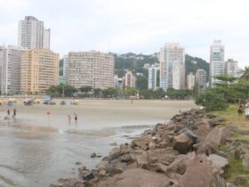 Praia de Santos passa a aceitar cães Por: Raimundo Rosa/Prefeitura de Santos/Direitos reservados