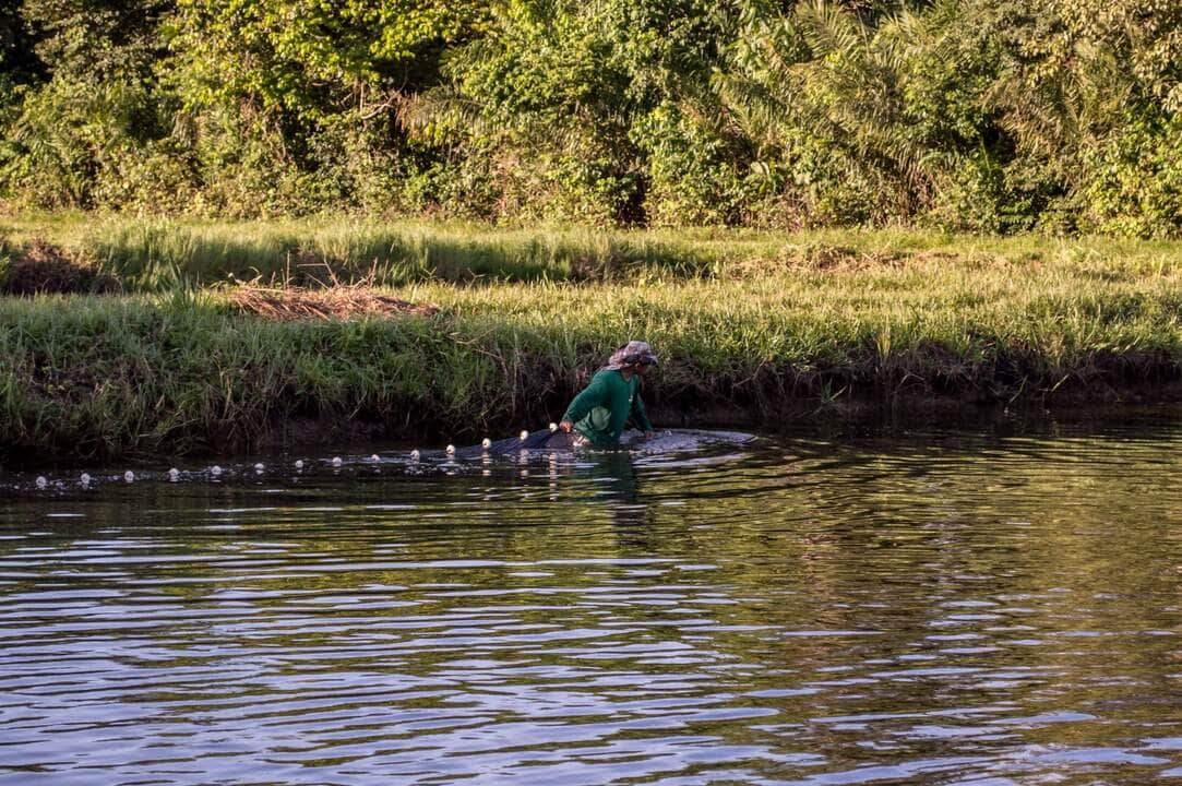 produtores familiares sao priorizados no fornecimento de peixe para a alimentacao escolar da rede estadual interna 1 2024 02 26 1023803181