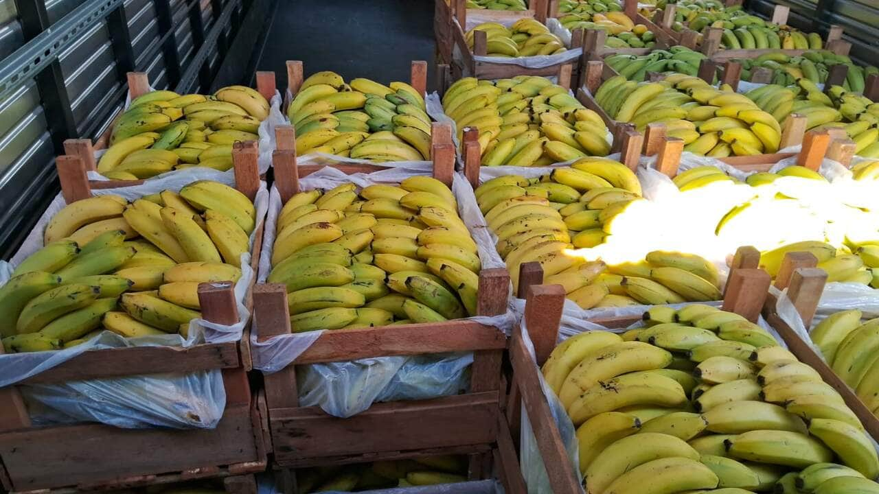 produtores familiares usam caminhao entregue pelo governo de mt para transportar alimentos ate escolas interna 1 2024 02 22 2015818477