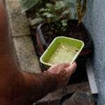 São Paulo (SP), 30/03/2023 - Agentes de vigilância em saúde fiscalizam e orientam moradores sobre focos do mosquito Aedes aegypti, transmissor da dengue, em Perdizes. Foto: Fernando Frazão/Agência Brasil