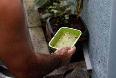 São Paulo (SP), 30/03/2023 - Agentes de vigilância em saúde fiscalizam e orientam moradores sobre focos do mosquito Aedes aegypti, transmissor da dengue, em Perdizes. Foto: Fernando Frazão/Agência Brasil