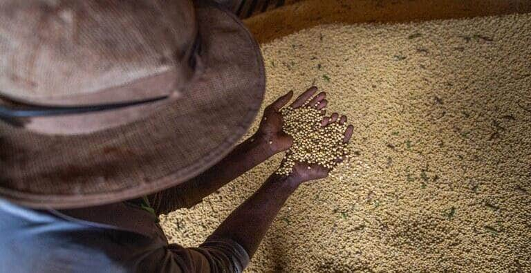 Selo Biocombustível Social é reestruturado para apoiar a agricultura familiar - Foto: Divulgação/MME