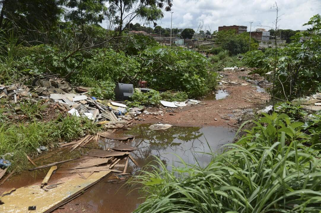 Brasília - O governo do Distrito Federal realiza, no Gama, uma campanha de combate ao Aedes aegypti (José Cruz/Agência Brasil)