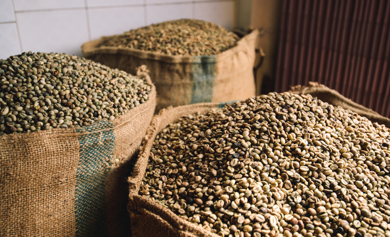 Zâmbia abre mercado para o café brasileiro - Foto: Divulgação