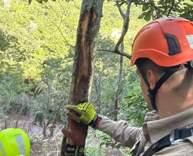 Garimpeiro morre ao cair de precipício durante confronto policial em reserva ecológica