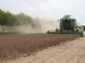 colheita de soja em Mato Grosso