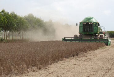 colheita de soja em Mato Grosso