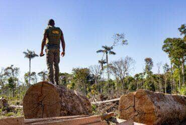 Cerca de 6% do território mato-grossense é atingido pela proibição.