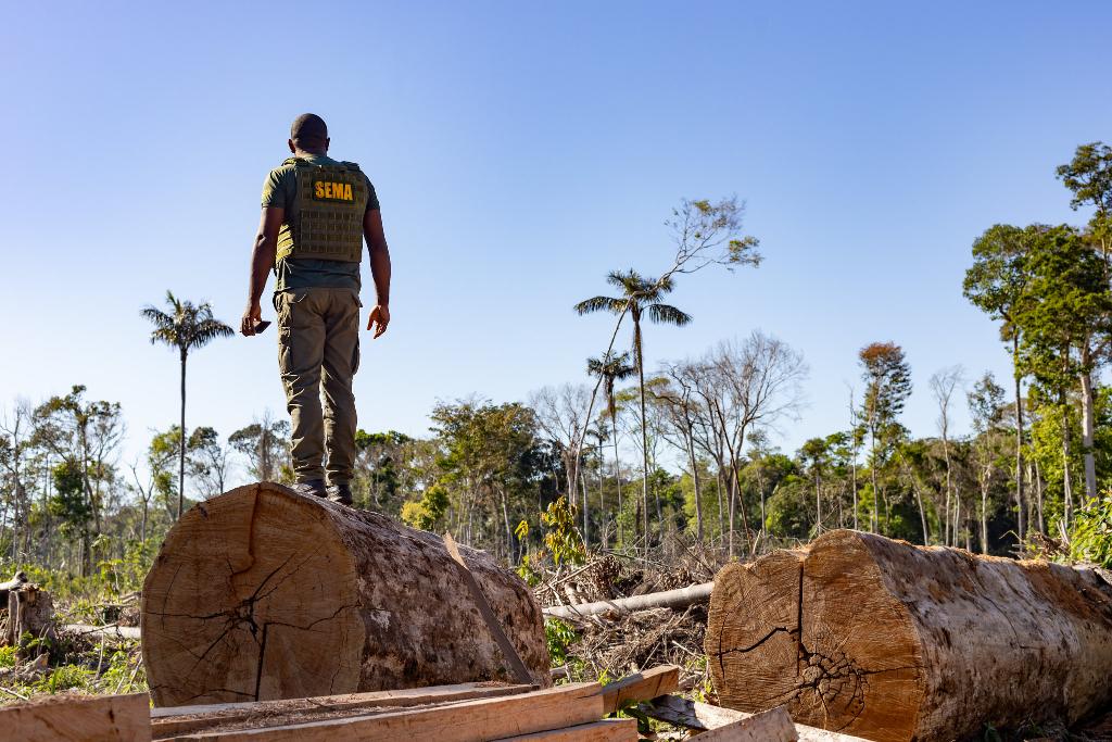 Cerca de 6% do território mato-grossense é atingido pela proibição.