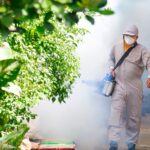 Dengue - Trabalhador de saúde ao ar livre usando máquina de nebulização pulverizando produtos químicos para eliminar mosquitos e prevenir a dengue na área de favela - Fotos do Canva