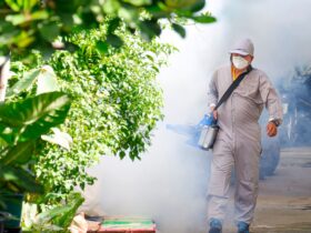 Dengue - Trabalhador de saúde ao ar livre usando máquina de nebulização pulverizando produtos químicos para eliminar mosquitos e prevenir a dengue na área de favela - Fotos do Canva