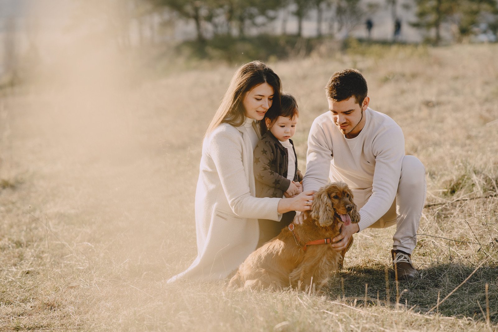 Família feliz acariciando Cocker Spaniel na zona rural - Fotos do Canva