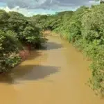 Homem embriagado morre afogado durante pescaria em Cuiabá