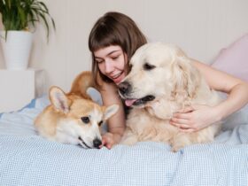 Jovem mulher com cachorro de estimação deitado na cama - Fotos do Canva