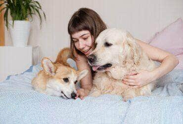 Jovem mulher com cachorro de estimação deitado na cama - Fotos do Canva