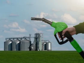 Liderança na produção de biocombustíveis impulsiona economia sustentável e redução de emissões