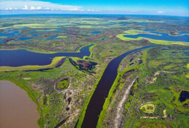Enquanto o Rio Grande do Sul está inundado, possível seca no Pantanal de Mato Grosso inspira preocupações