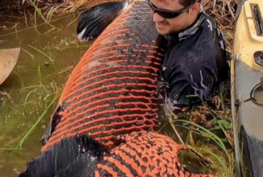 Pescador captura pirarucu de mais de dois metros e 130 kg