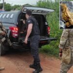 Polícia descobre estufa de maconha em operação contra quadrilha de tráfico em Mato Grosso