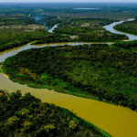 Projeto de lei que retira a proteção dos biomas de Mato Grosso é aprovado na CCJ da Câmara