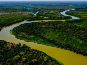 Projeto de lei que retira a proteção dos biomas de Mato Grosso é aprovado na CCJ da Câmara