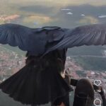 Momento mágico nos céus: urubu faz voo ao lado de parapentista e encanta as redes sociais