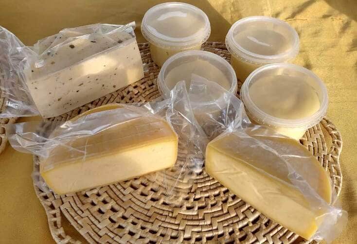 agricultora familiar que deixou de ser professora para se dedicar a producao de leite e queijo conta com apoio do governo de mt interna 1 2024 03 08 750890698