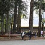 Parque do Ibirapuera completa 65 anos. Por: Rovena Rosa/Agência Brasil