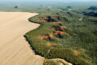 Brasília (DF) 29/02/2024 - Cerrado: cresce o desmatamento, aumenta o risco de colapso hídrico Foto: Adriano Gambarini/WWF Brasil/Divulgação