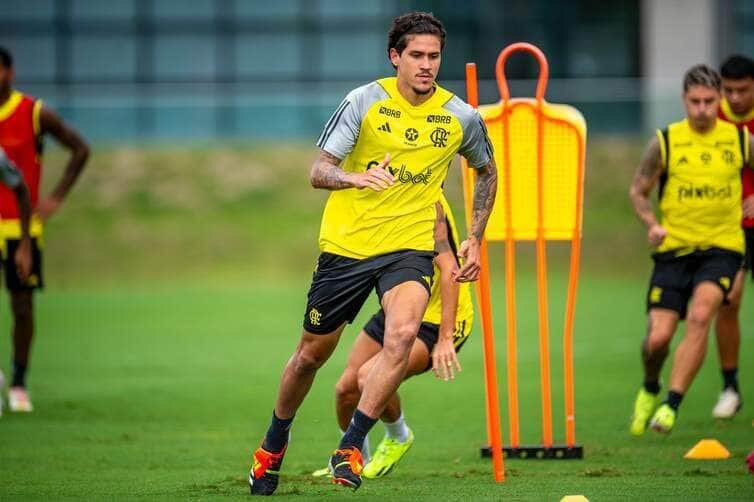 flamengo, treino, pedro Por: Marcelo Cortes/CRF/Direitos Reservados