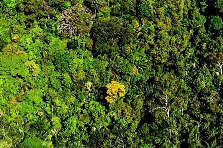 Proprietário rural de Mato Grosso é denunciado por nove crimes ambientais no Assentamento PA Nova União
