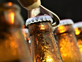 garrafas de cerveja - Fotos do Canva