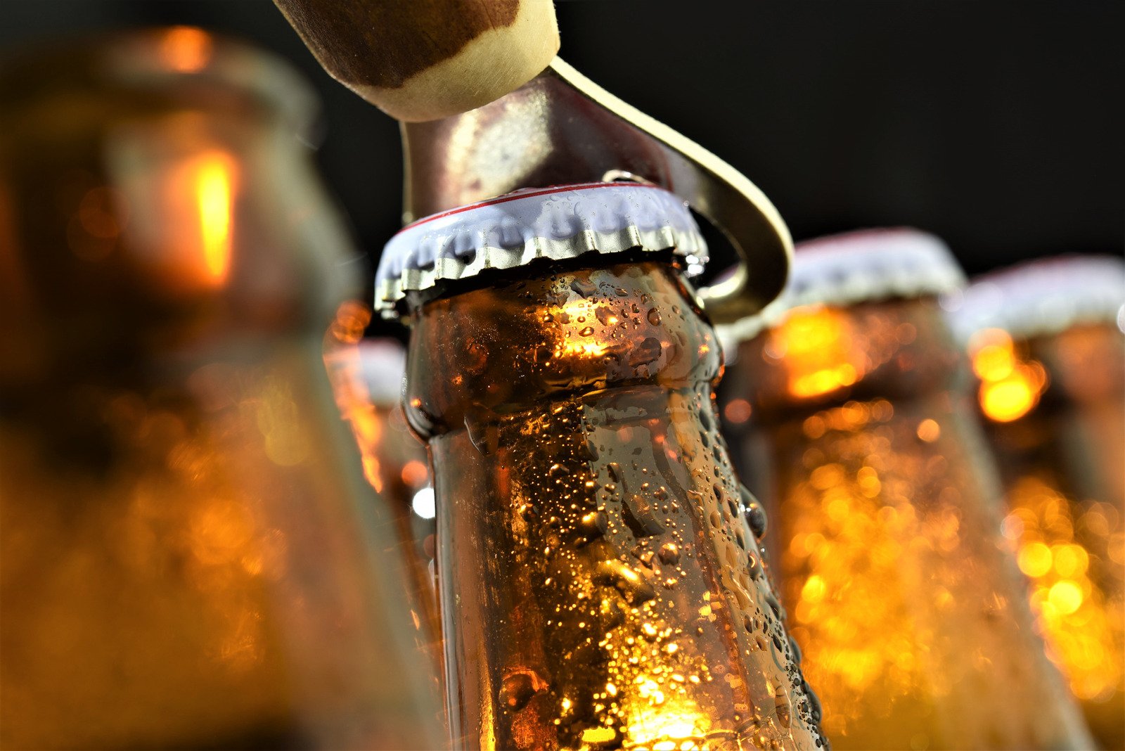 garrafas de cerveja - Fotos do Canva