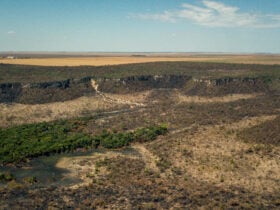 Brasília (DF) 29/02/2024 - Cerrado: cresce o desmatamento, aumenta o risco de colapso hídrico Foto: Thomas Bauer/Instituto Sociedade População e Natureza