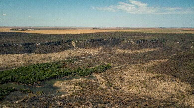 Polêmica: Multas ambientais de milhões são anuladas em Mato Grosso