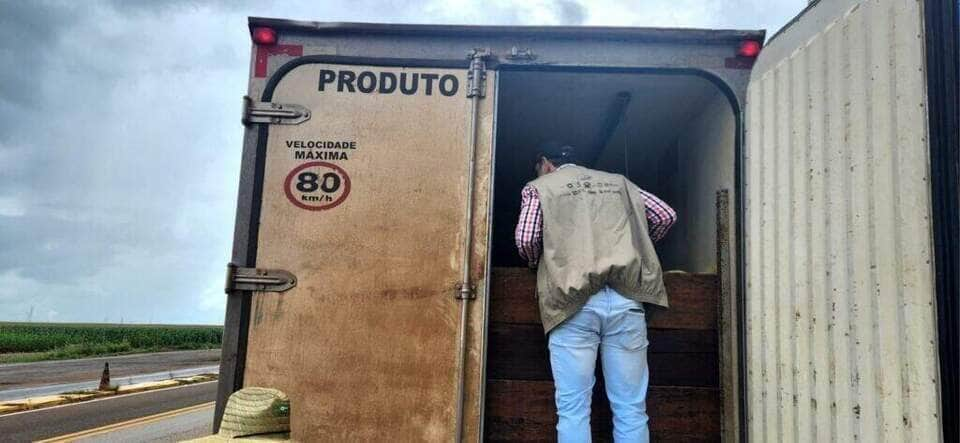 Indea intensifica fiscalização do transporte de pescado em rodovias estaduais_6604604f065e3.jpeg