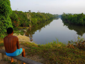 Terra Indígena Alto Rio Guamá. Foto: Fundação Nacional dos Povos Indígenas/Gov
