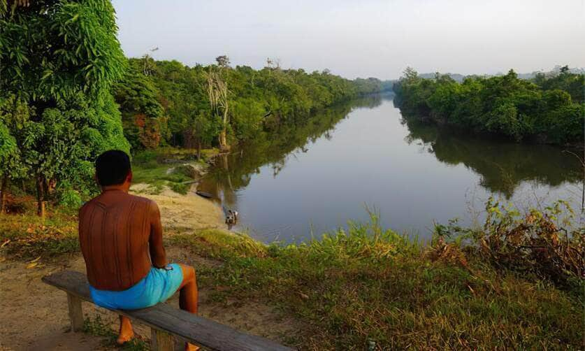 Terra Indígena Alto Rio Guamá. Foto: Fundação Nacional dos Povos Indígenas/Gov