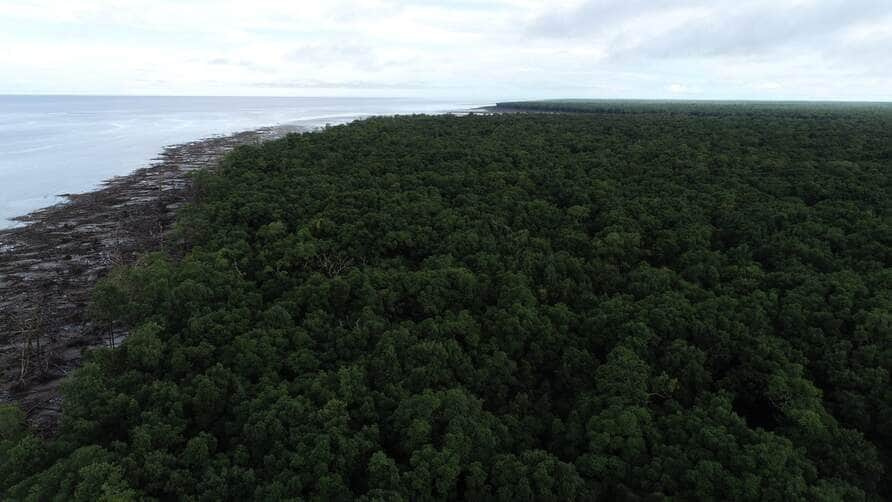 manguezais do brasil oferecem alto potencial de reducao de emissoes de gases estufa interna 2 2024 03 26 1941185165