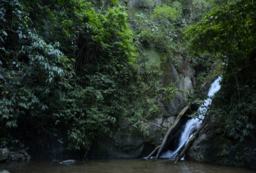 Cachoeira do Horto no percurso de trilhas dentro da mata atlântica na Floresta da Tijuca, no Rio de Janeiro Por: Tomaz Silva/Agência Brasil