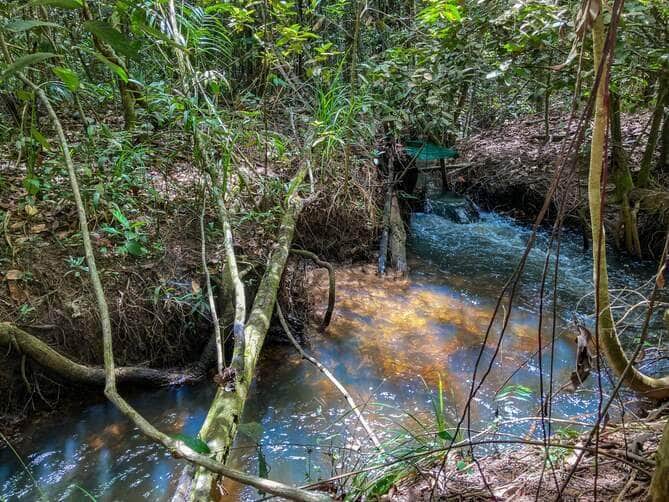 Mato Grosso - 09/03/2024 - Impacto da agricultura no ciclo hídrico, na Fazenda Tanguro em MT. Foto: Fabiola Sinimbu/Agência Brasil