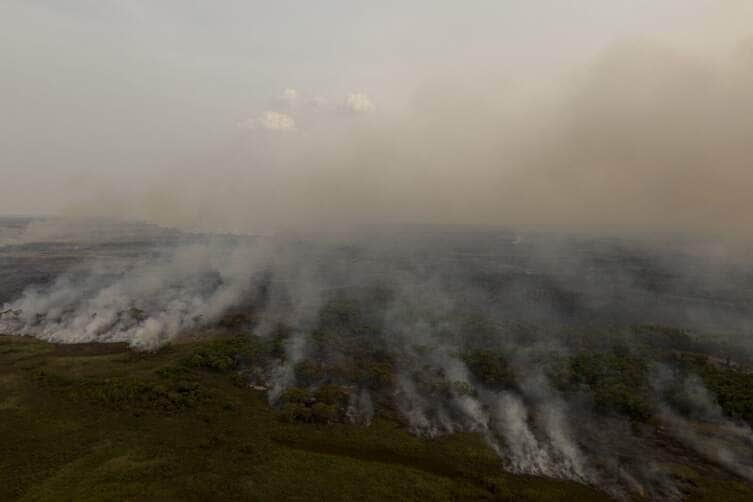 Porto Jofre (MT) 16/11/2023 –Brigadistas do ICMBIO combatem incêndio florestal que atinge o Pantanal Foto: Joédson Alves/Agência Brasil