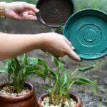 O engajamento de todos é essencial para evitar surtos da doença e proteger a saúde pública. Crédito - Secom-MT