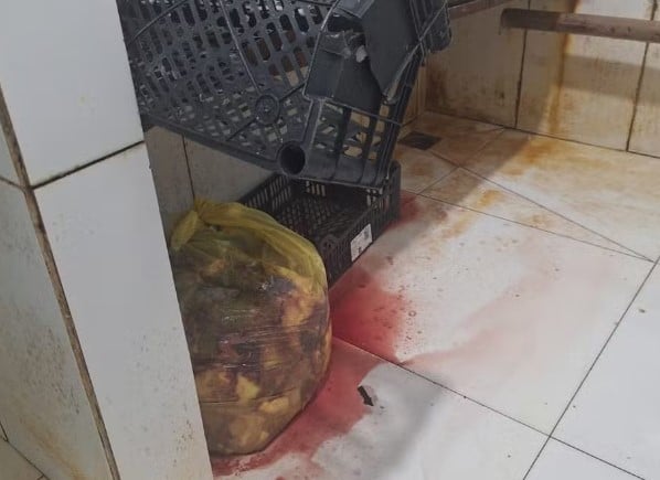 Polícia Civil apreende 500 kg de peixes em estado de decomposição em restaurante